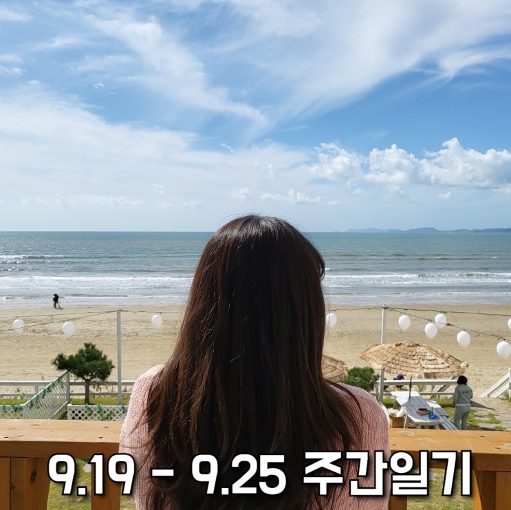  [9/19-9/25] 주간일기 17주차, 요약: 주먹밥, 태안 여행(a.k.a. 멍고생)