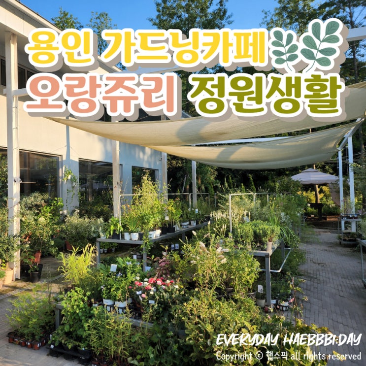  [용인 가드닝카페] 나만의 정원이 생긴 느낌, 오랑쥬리 정원생활