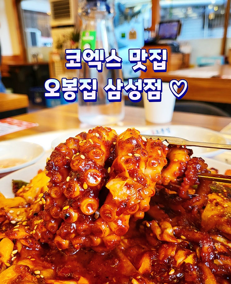 오봉집 삼성점 점심 회식 추천 낙지 보쌈 코엑스맛집