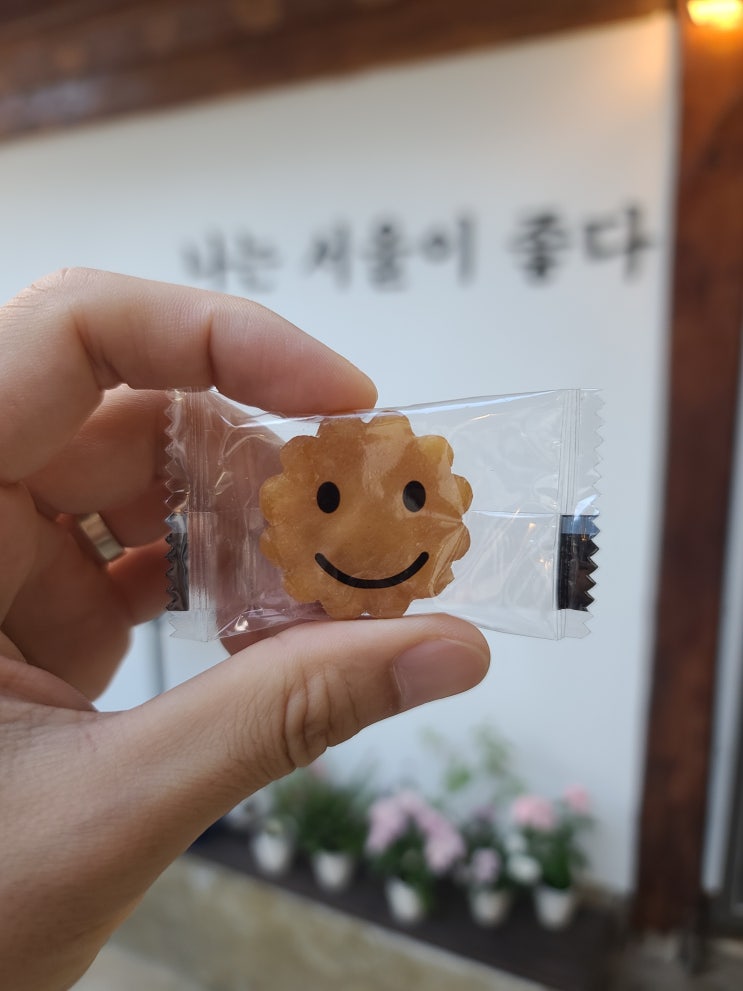 산책기록 9월 4주