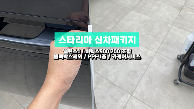  미추홀구 신차패키지 스타리아 기본에 필요한것만 확실하게!