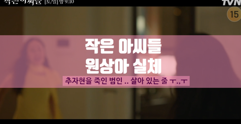 작은아씨들 8화 줄거리 추자현을 죽인 범인 원상아 반전 결말 엄지원 프로필 나이 고향 가족 ....