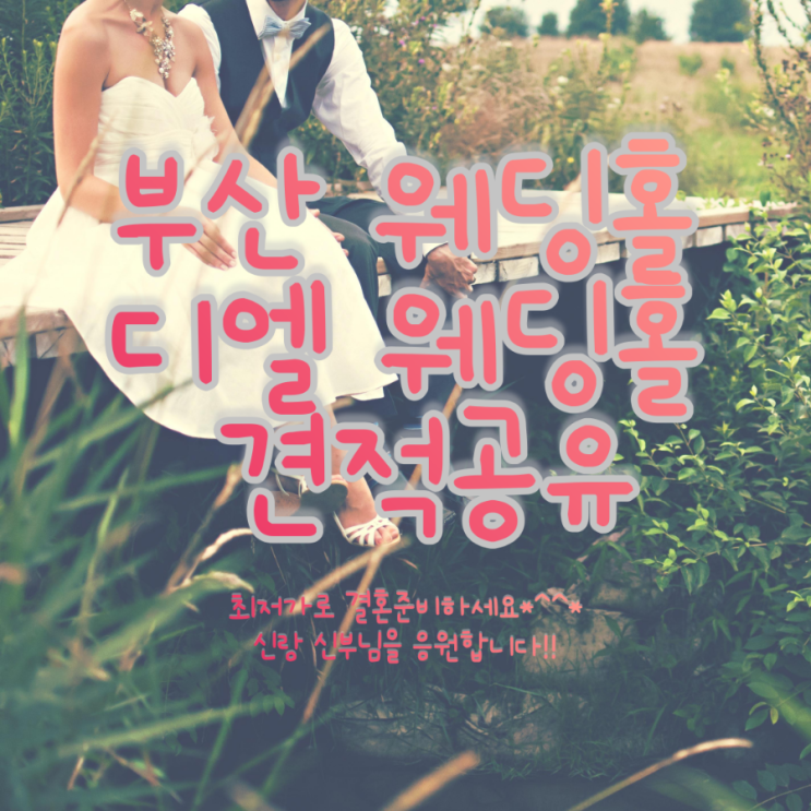  부산 디엘 웨딩홀 견적공유