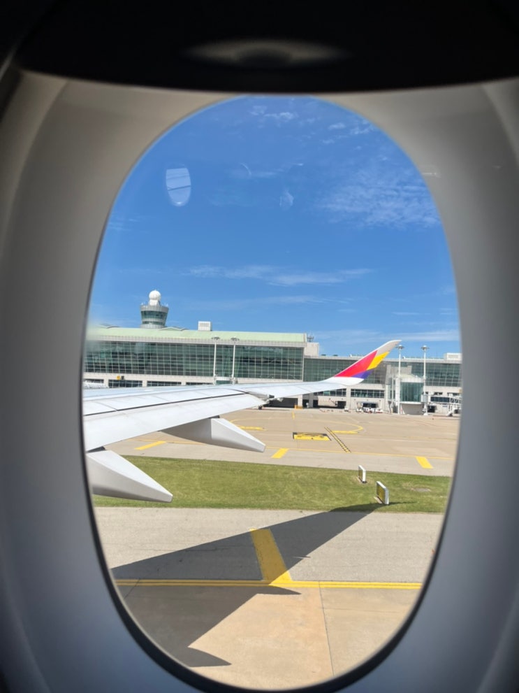  [영국워킹홀리데이] +362, 363 또 다시 출국
