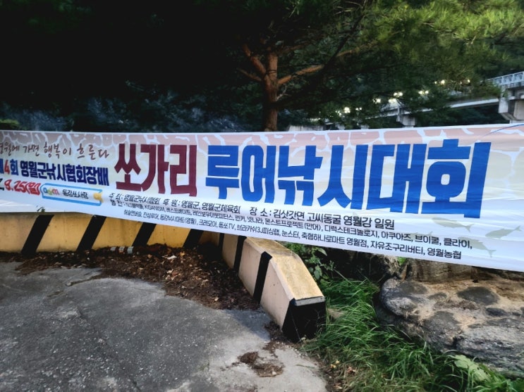  N.S 주관 제4회 영월 낚시협회장배 쏘가리 루어낚시대회 다녀왔습니다 feat.베이트피네스