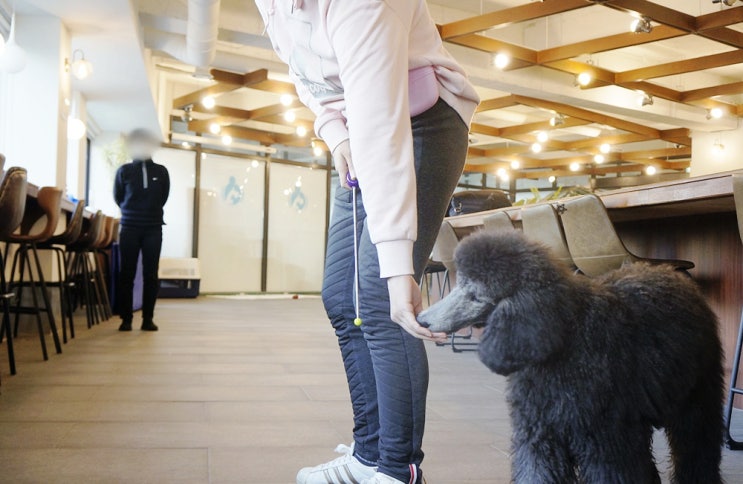 중년자격증 창업과 취업 갈등 중이라면 여기로!