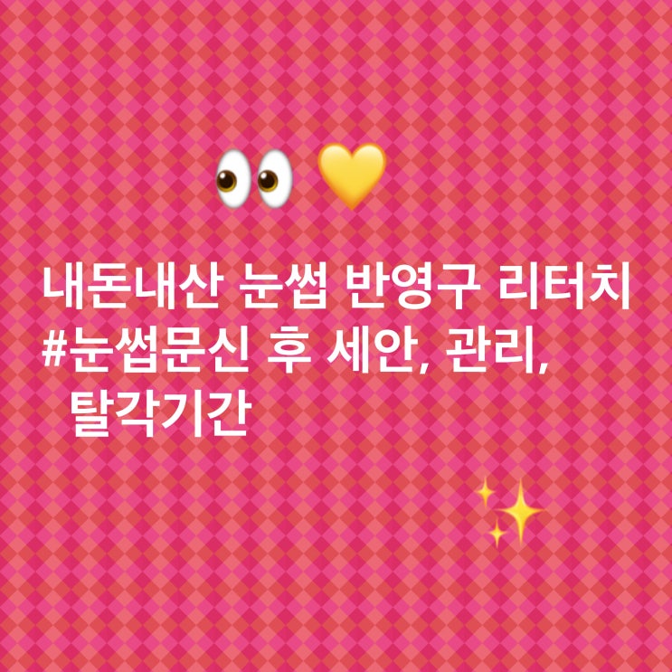  내돈내산 강남역 눈썹문신 반영구 기록, 리터치 받기 ! (눈썹문신후세안, 탈각 기간, 가격, 관리방법)