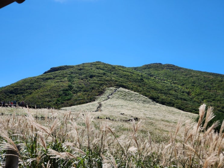  영남알프스 KTX 간월산 간월재 신불산 신불재 영축산 통도사 (영남알프스 9봉인증)