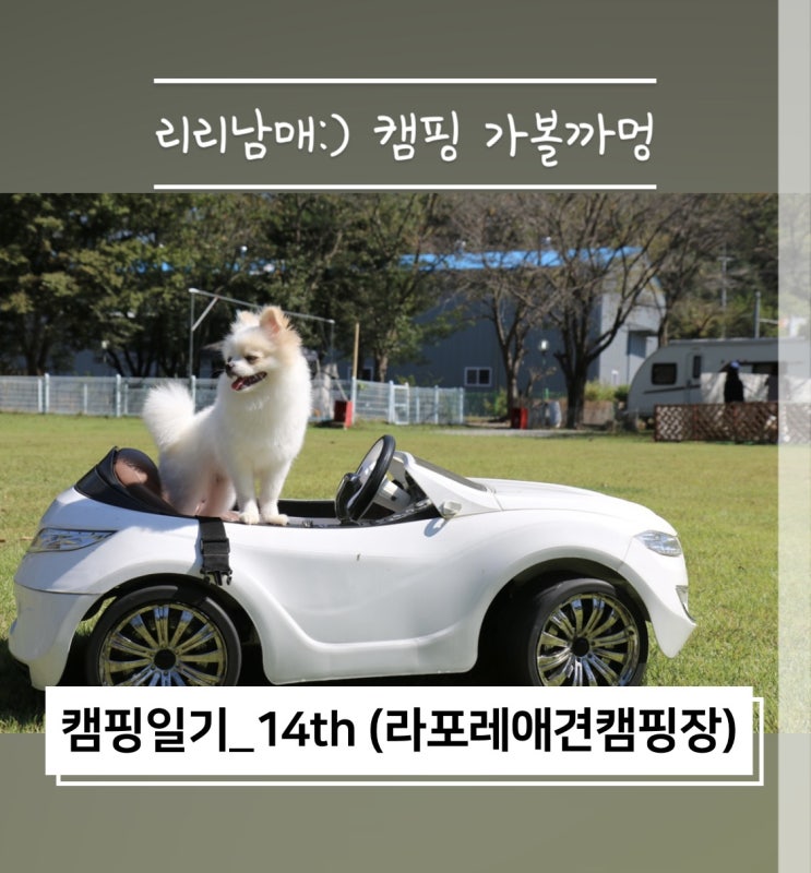  캠핑일기 라포레캠핑장 강아지와 애견동반으로 최고예요