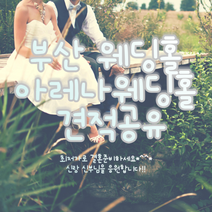 부산 아레나 웨딩홀 단독홀 견적공유