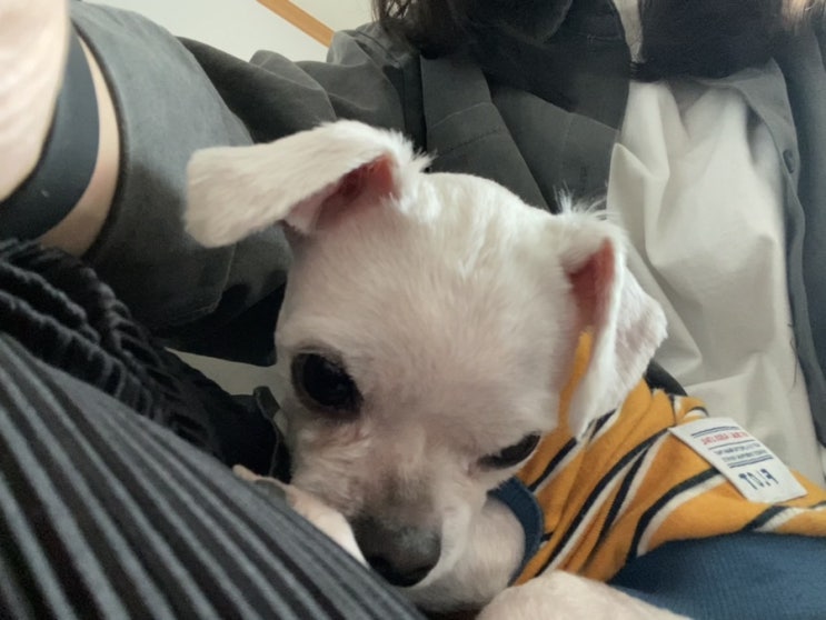  뭐