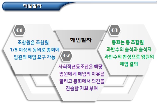 사회적협동조합 이사장, 이사, 감사의 직무 및 해임