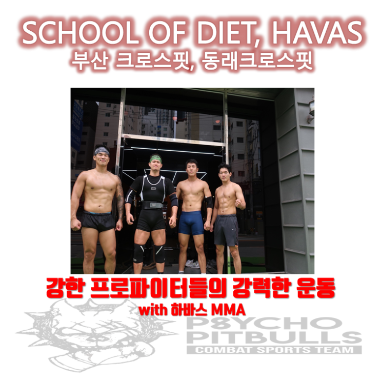 [부산 크로스핏,동래 크로스핏] 하바스 다이어트 스쿨 - 강한 프로파이터들의 강력한 운동! 파이터 스트렝스