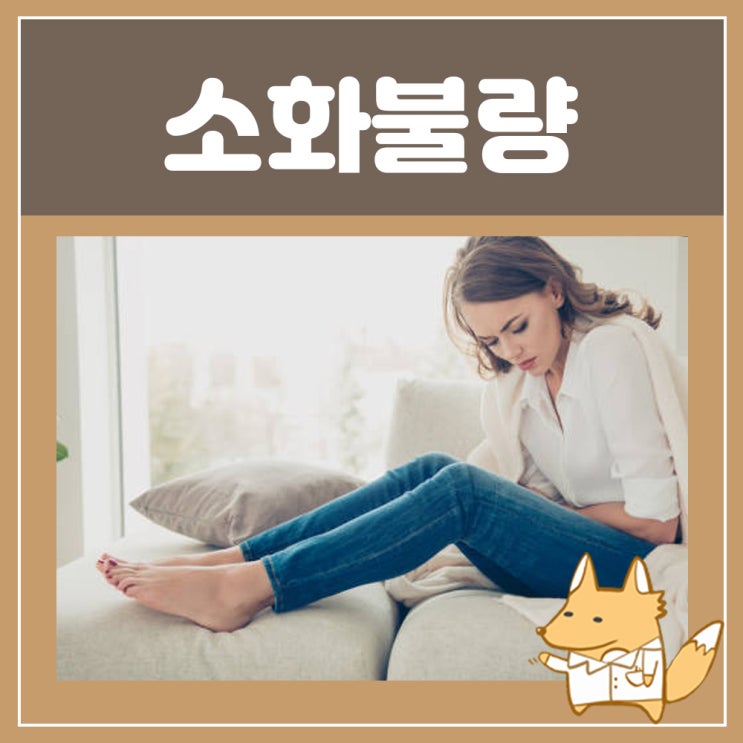  소화안될때 증상 케이캡정50mg : 만성 소화불량 복부팽만 증상 설사
