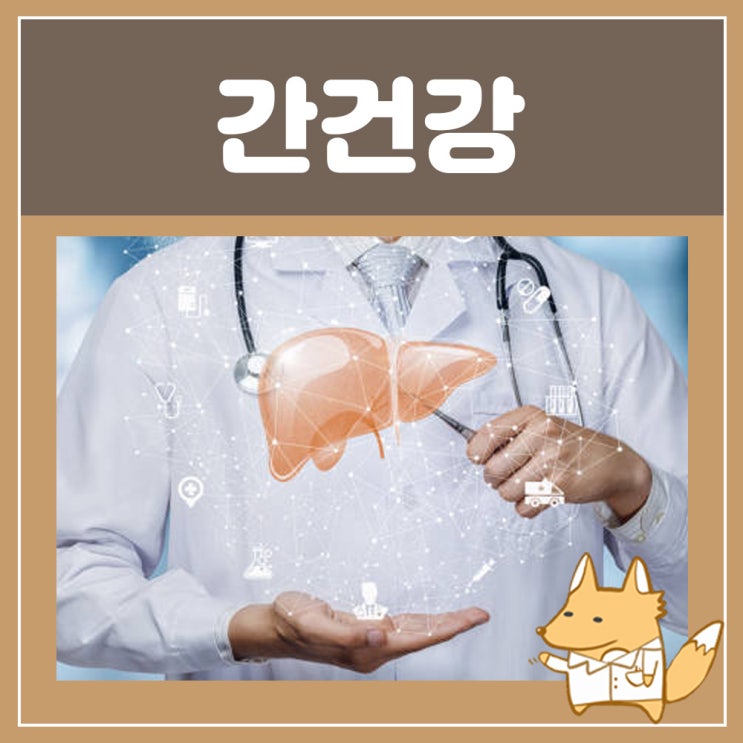  간이식공여자 : 간이식 조건 혈액형 수술 후유증 간이 안좋으면 나타나는 증상 간이부었을때