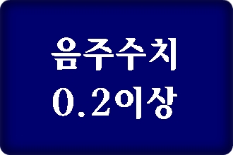 음주수치 0.2% 이상 양형자료 반성문 탄원서 작성 음주수치 0.2% 이상 양형자료 반성문 탄원서 작성