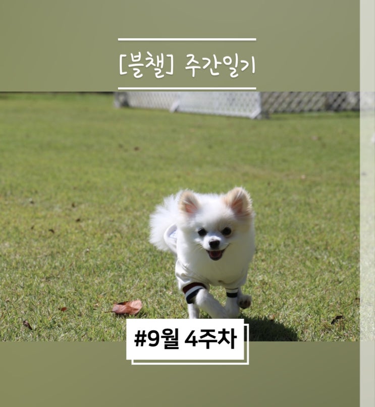  리리남매네 주간일기 9월 4주차