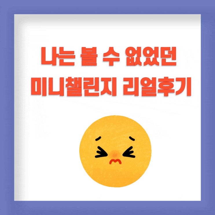  나는 볼 수 없었던 MKYU 챌토링 미니챌린지 리얼 후기
