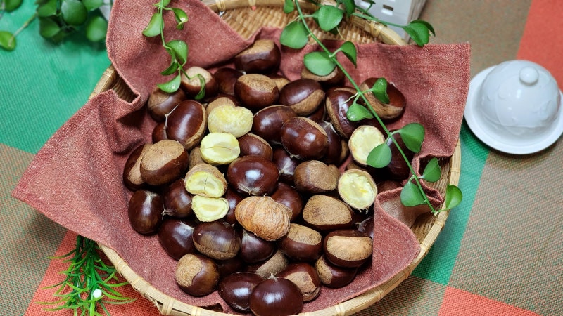 밤 찌는 법, 밤 찌는 시간, 밤 삶는 법, 밤 삶는 시간, 밤 껍질까기, 밤 보관법 밤칼집내기 까....