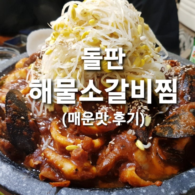  청춘식당 충주 연수동 맛집 해물소갈비찜에 별미 계란전