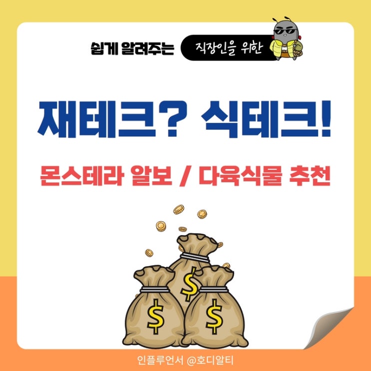  이색적인 재테크, 식테크를 알아보자 (ft.몬스테라 알보, 다육식물 추천)