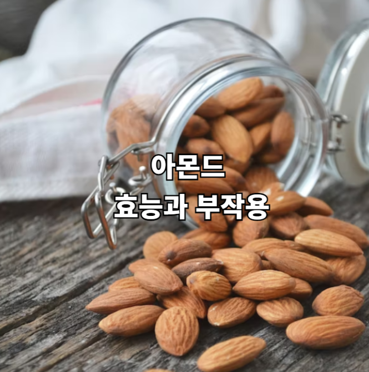  아몬드 효능과 부작용 전부 알아봐요
