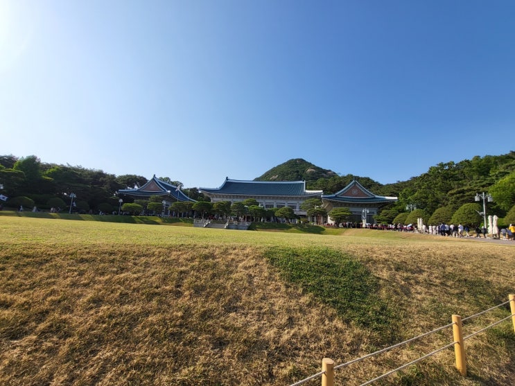  교통사고  꿈해몽