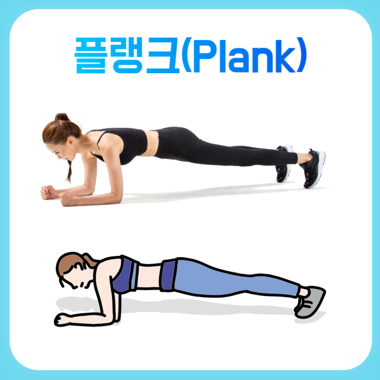  플랭크로 허리 및 코어근육 회춘하기