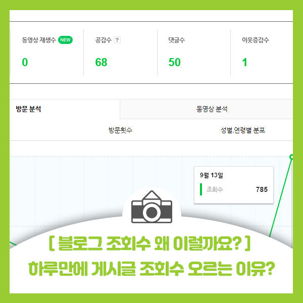  [블로그 조회수 문의] 게시글 하나가 하루에만 조회수 오르는 이유