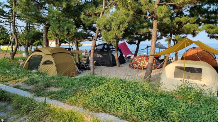  좁지만 자리만 잘 잡으면 오션뷰캠핑, 자리 못잡으면 바닷가불멍이라도 '양양죽도야영장'
