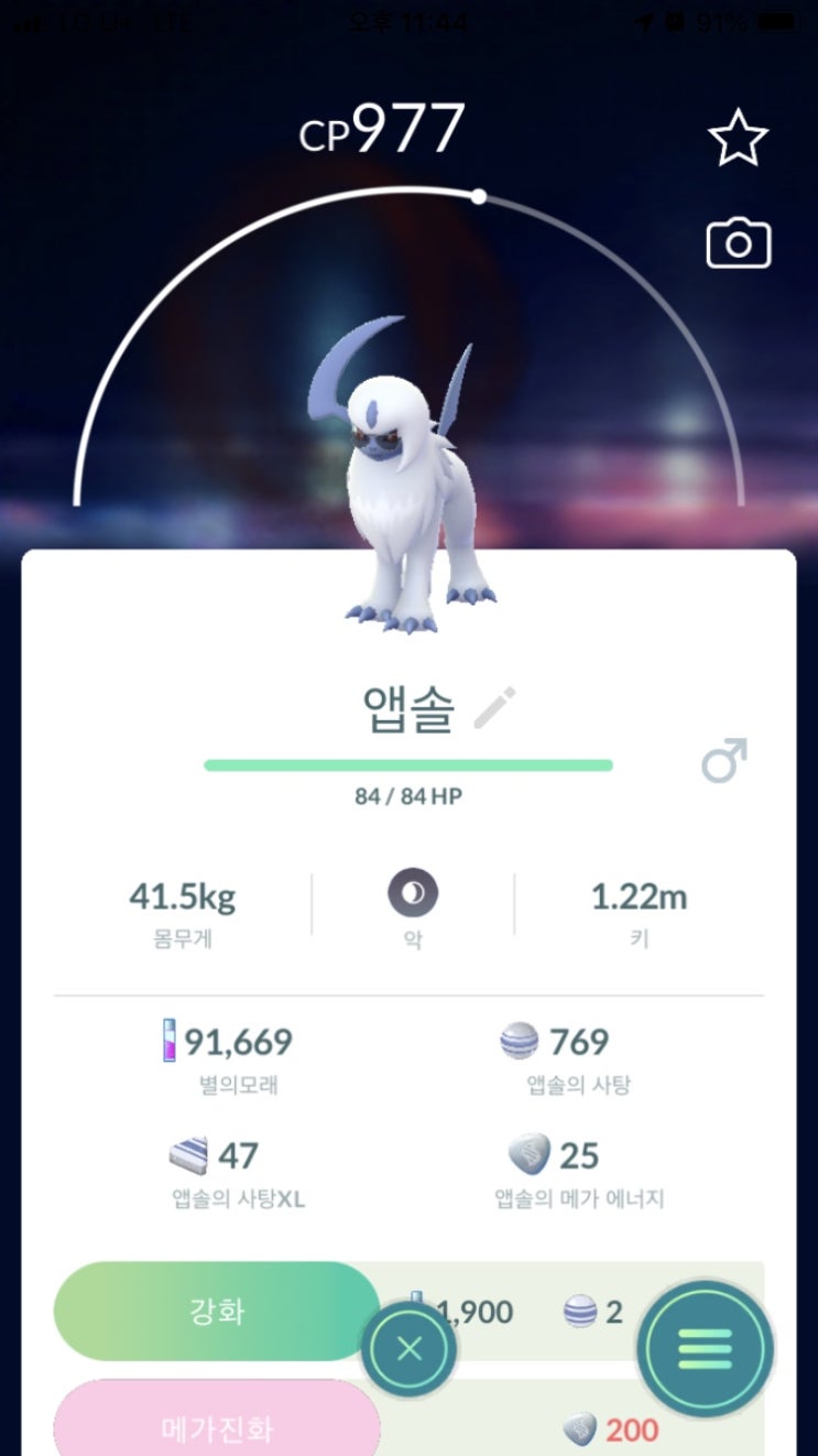  앱솔