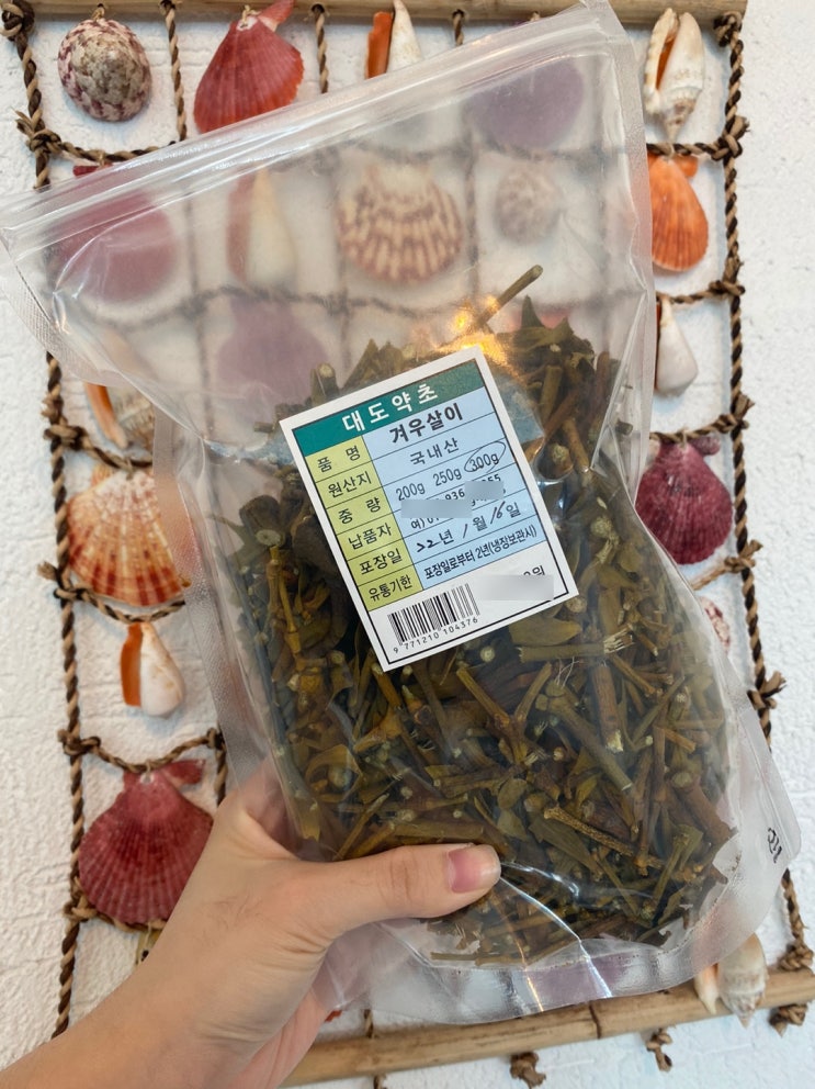  쌀쌀한 날 따뜻한 겨우살이 물 한 잔! (겨우살이)