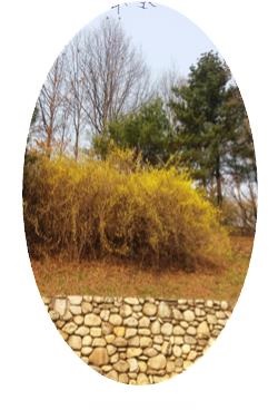  벽돌