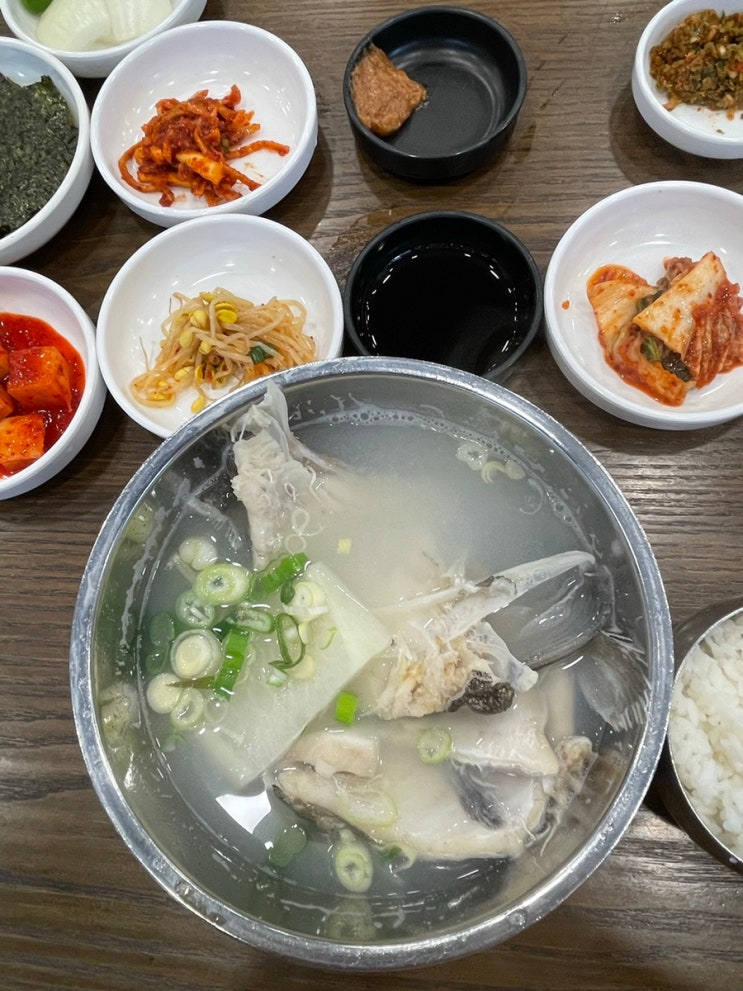  부산 1일차 2탄 - 음식 편 (속씨원한대구탕, 몽떼104, 황포냉면)