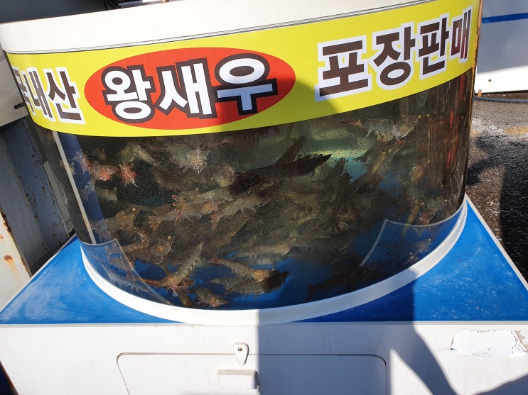  [주간일기] 9월 4주차 정말 식단일기 인건가?