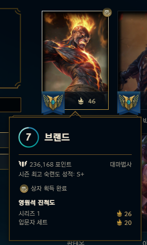뉴 메타 브랜드 뉴 메타 브랜드