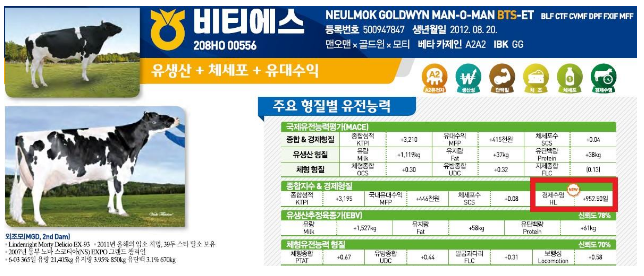 젖소 신규 개량 형질 개발, 경제수명 확인 하세요_농촌진흥청 젖소 신규 개량 형질 개발, 경제수명 확인 하세요_농촌진흥청