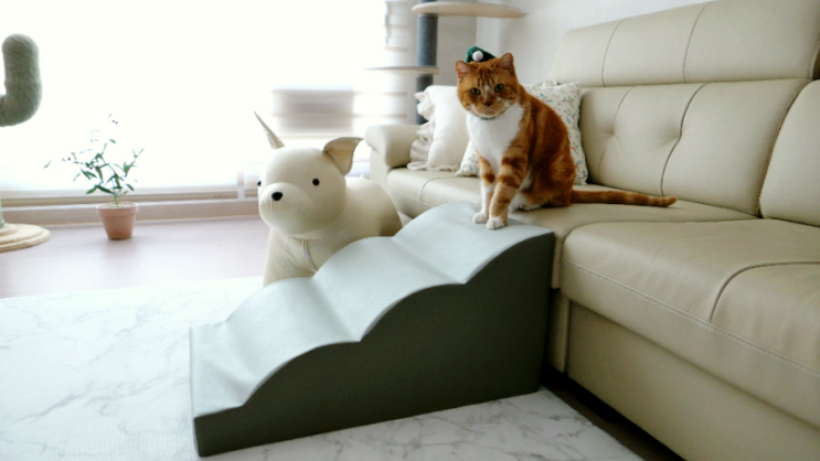  강아지 고양이 계단 내구성 좋고 튼튼한 펫노리터 한 달 사용 후기