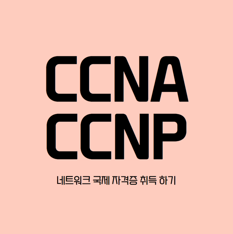  네트워크 국제 자격증 CCNA CCNP 취득