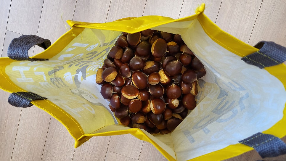 밤나무골 사진 5