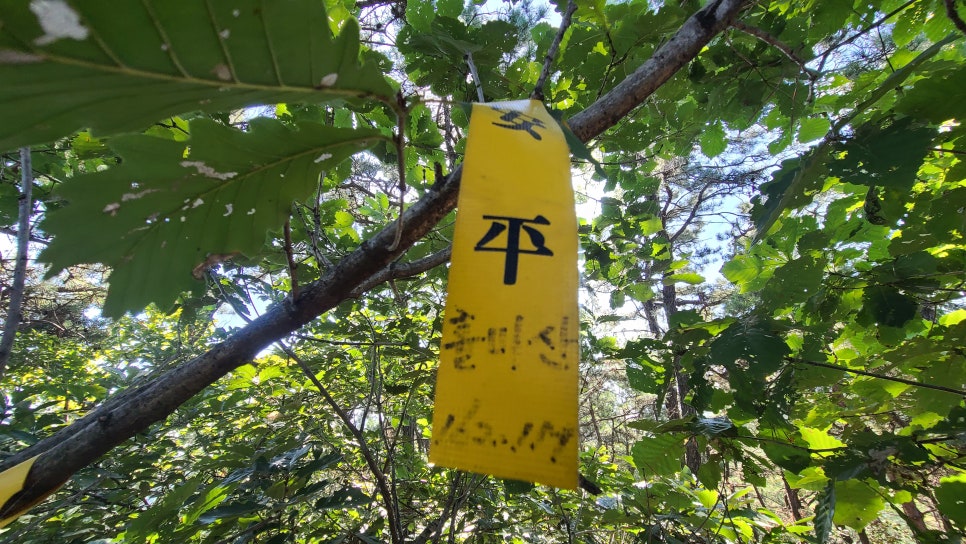 혼천산 사진 4