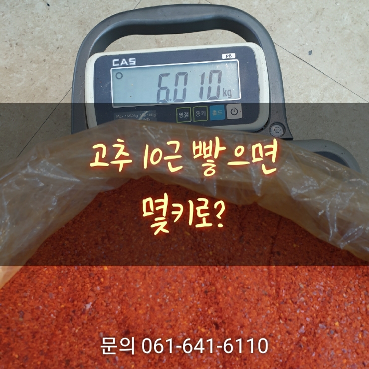  건고추 한근무게? 고추 10근 빻으면 몇키로? 국산 고춧가루 시세 고추봉투무게