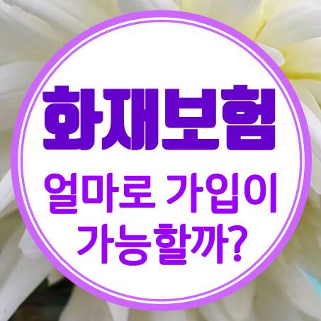  아파트 화재보험료 1만 원으로 가입할 수 있다? 없다?