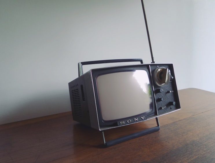  <귀가트이는영어> The Benefits of Not Having a TV_ channel surfing, tempt to, pass one's time, one-on-one,