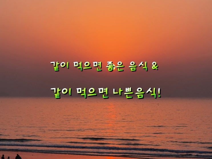 같이 먹으면 좋은 음식 & 같이 먹으면 나쁜음식! 같이 먹으면 좋은 음식 & 같이 먹으면 나쁜음식!