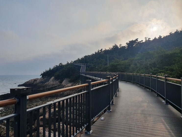  전북 군산 [비응마파지길] 바람쐬기