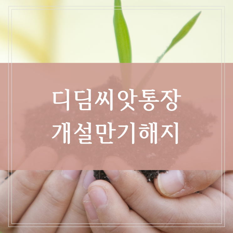  디딤씨앗통장 개설 신청하기 만기일 해지 후원하는 방법