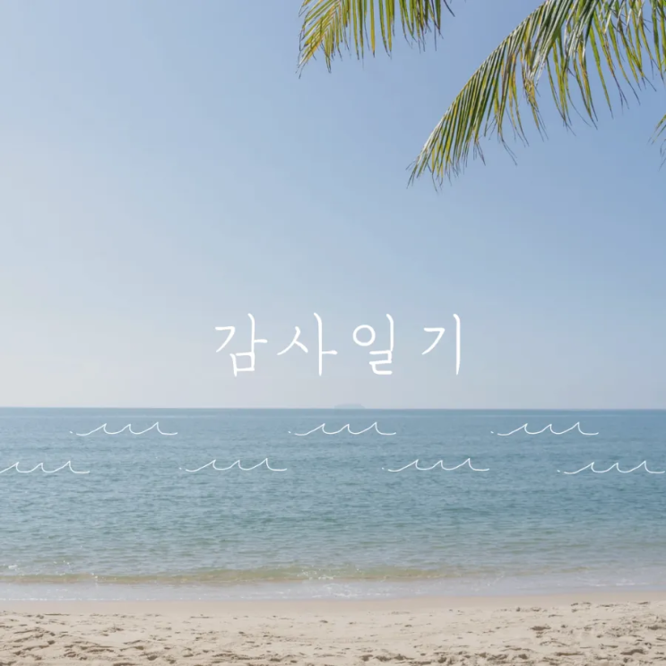  월화지만 주간 일기
