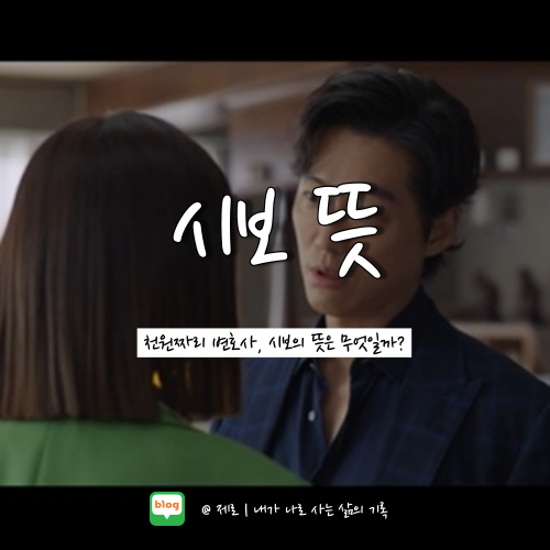  천원짜리 변호사 시보 뜻 알아보자