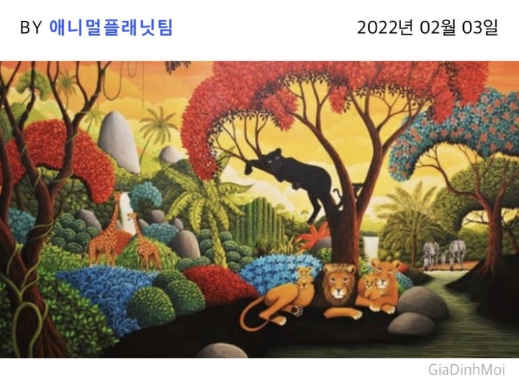  심리테스트